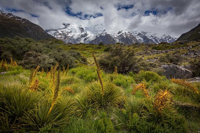 073 Mount Cook NP.jpg